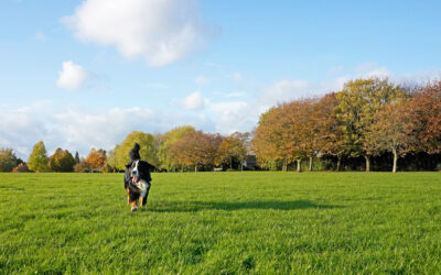Are There Any Pet-Friendly Parks or Outdoor Spaces in Annapolis?